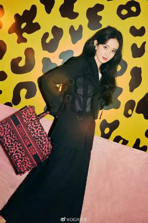 迪奥品牌大使赵丽颖
