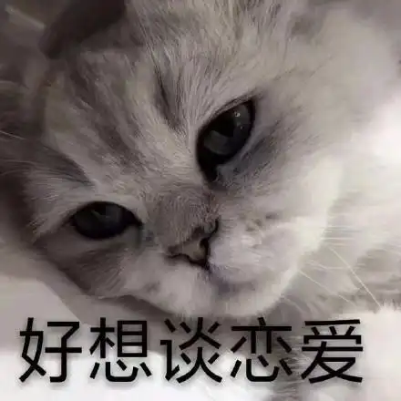 我只是想在过年前谈个恋爱表情包图片免费版