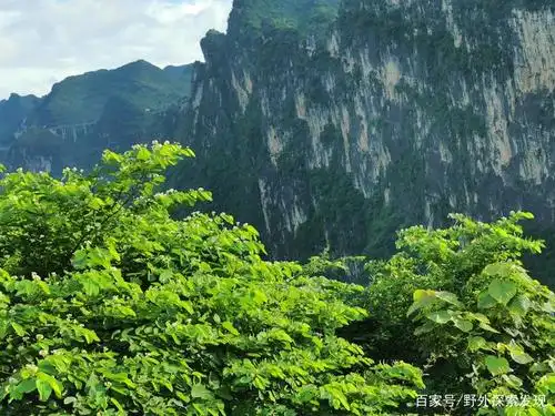 万丈深渊的江水 高高的大山