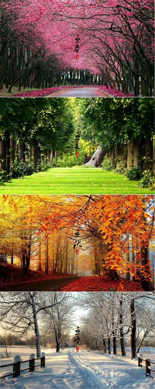 春夏秋冬,有谊季节生活温暖花开富贵快乐. - 美篇