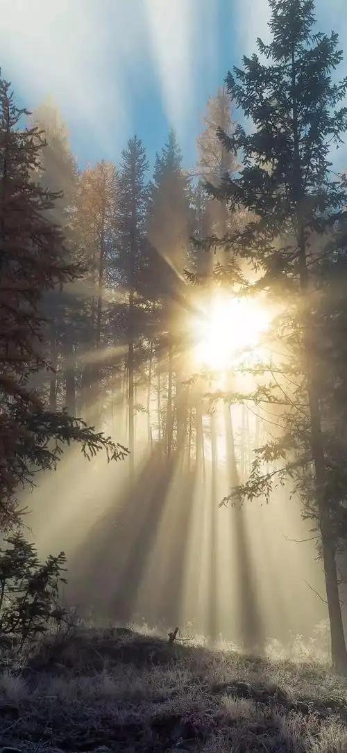 超好看的全面屏壁纸