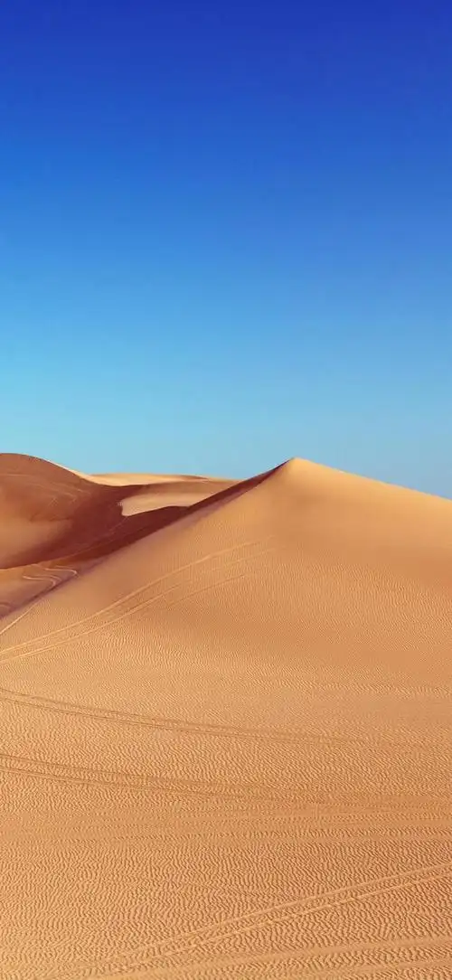 福利全新ios12原生手机壁纸苹果的魅力无人可挡