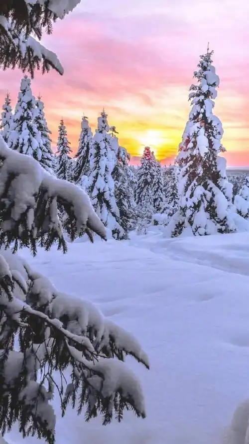 唯美清新冬季雪景风光,图片大全,高清,图库-回车桌面