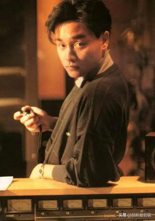 香港明星大全名单图片(盘点香港的100位明星)(16)