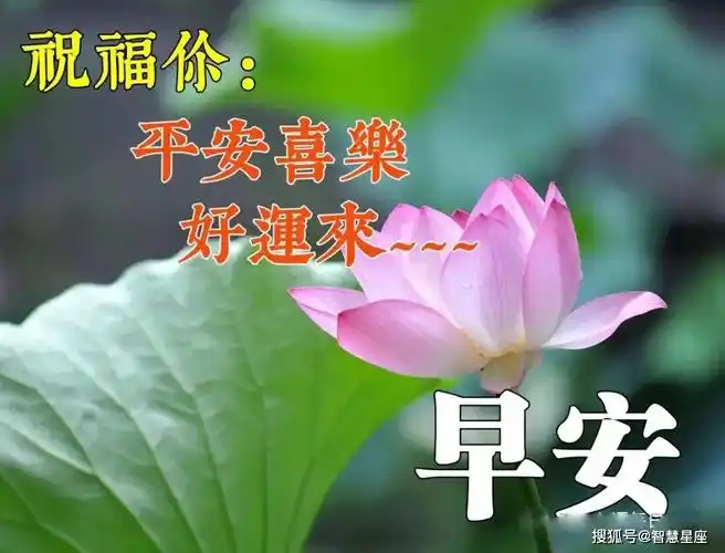 2021牛年最新版早上漂亮表情问候祝福图片,早上好微信温馨祝福图片