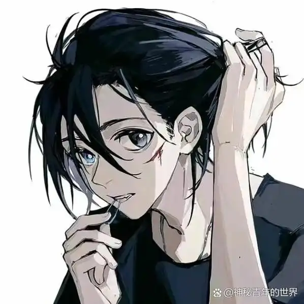 高质量小众动漫男头,真的很帅