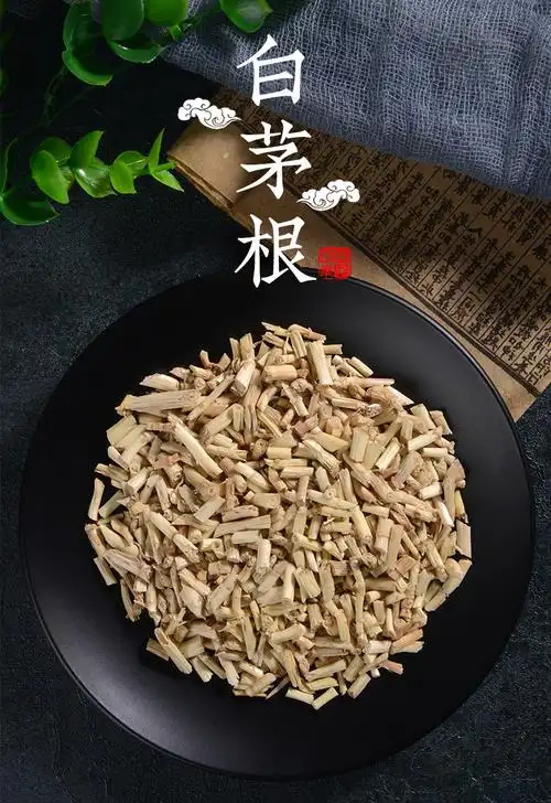 白茅根500克中药白茅根新鲜白茅根干泡水白毛根非野生白茅根茶