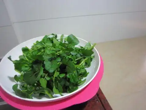 东洋菜花蛤汤,东洋菜花蛤汤的家常做法 - 美食杰东洋菜花蛤汤做法大全