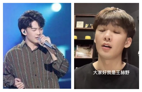 王赫野个人资料哪里人家庭背景曝光 王赫野大风吹抄袭迈克尔杰克逊吗