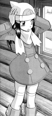 【宝可梦特别篇】图鉴所有者资料