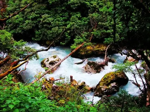 "说走就走"独行墨脱 多雄拉山平静而美丽,如同一幅蕴含着灵气的水墨画