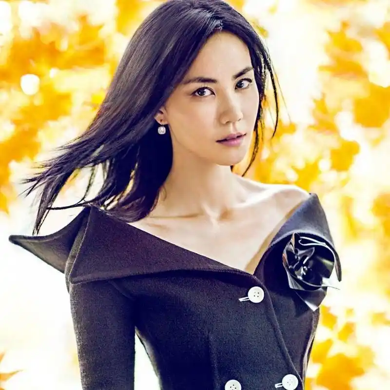 传奇女王王菲,高清图片,电脑桌面-壁纸族