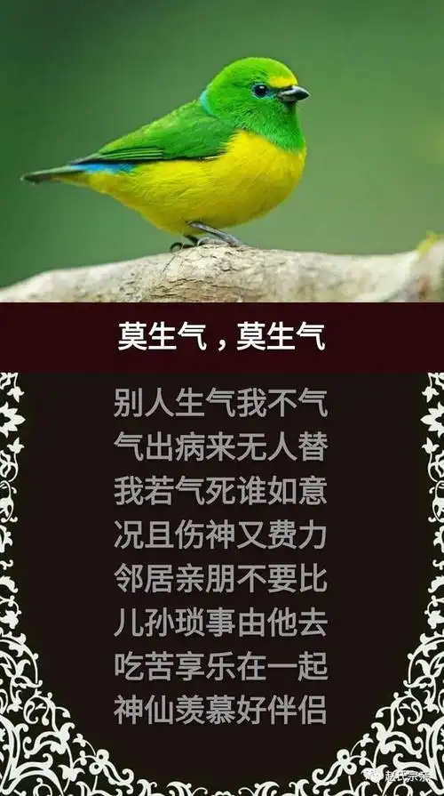 不要因为小事而发脾气.