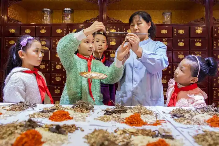 内蒙古呼和浩特市玉泉区通顺街小学的学生在杏林堂中医院中药房学习捣