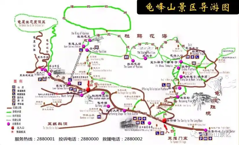 麻城龟峰山景区官方网站——中华长寿山,世界杜鹃园 看点多,除了花海