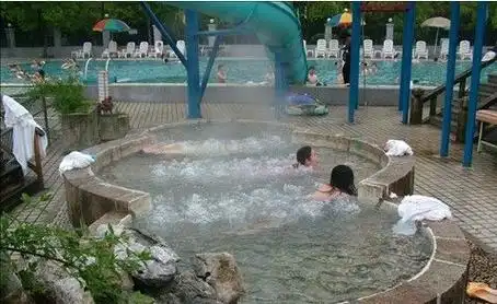 水温泉位于宜春市城西南15公里处的 a data-lemmaid="1233996">温汤镇