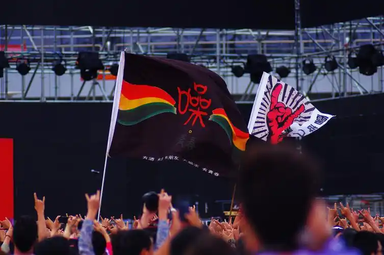 洱海音乐节上的旗帜