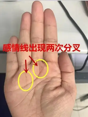 最有福气的手相,命中必定大富大贵