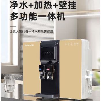 志高(chigo)净水器ro反渗透 净化加热一体机 家用直饮城镇农村 净饮