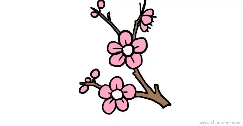 梅花树枝儿童画怎么画 梅花树枝简笔画简单又好看 - 水彩迷