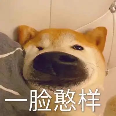 一脸正义表情包