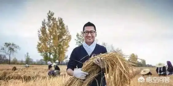 在离开演艺圈之后,周杰在东北的五常地区包下了千亩良田种植水稻,现在