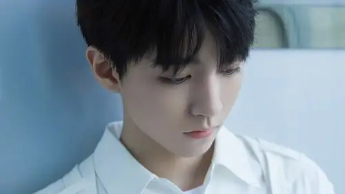 王俊凯白衫清爽帅气桌面壁纸壁纸