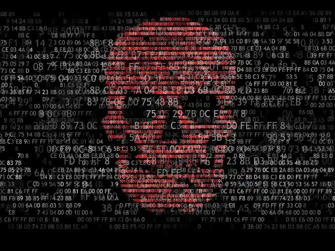 计算机安全的概念十六进制代码的头骨在线的海盗网络罪犯黑客破解了