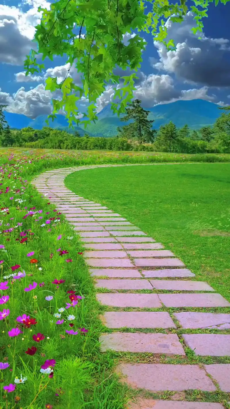 五十岁以后,如此"富养"自己,日子会越过越好