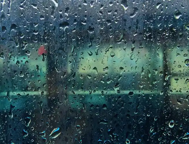 我很喜欢下雨后的窗户就像我掌心中的纹路
