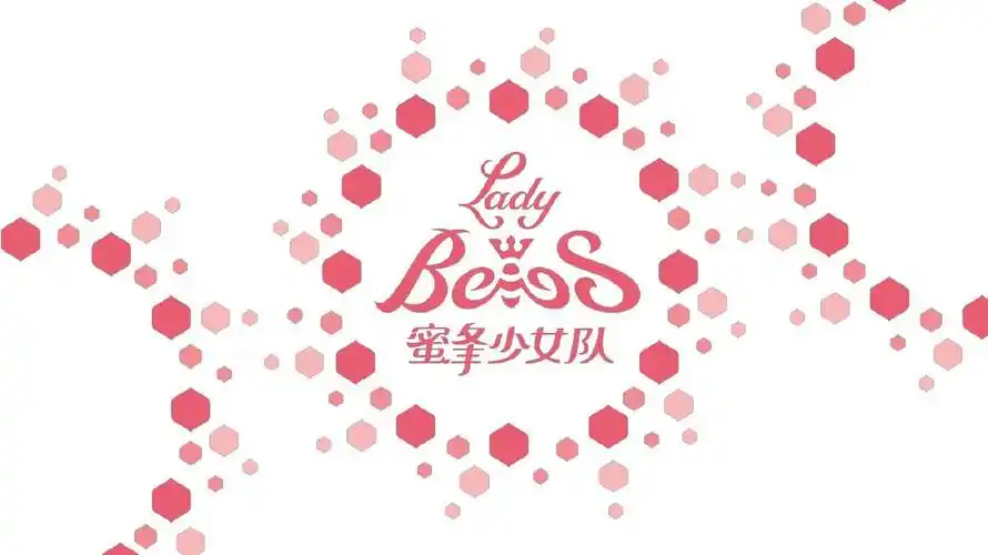 蜜蜂少女队华少公司及案例简介170315