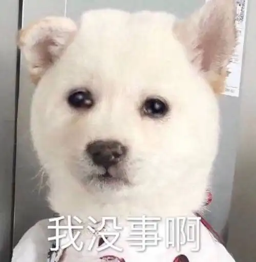 跟着大哥混,三天饿九顿,没事挨点小钢棍(熊猫头)表情包 - 表情图