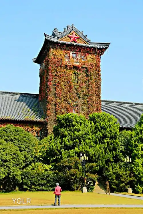 秋天的南京大学真美真漂亮