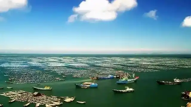 日本著名的四大鱼场叫什么名称,日本有世界闻名的什么渔场(仍被列入世