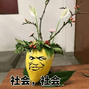 表情包 - 楼下大傻逼 - 表情图