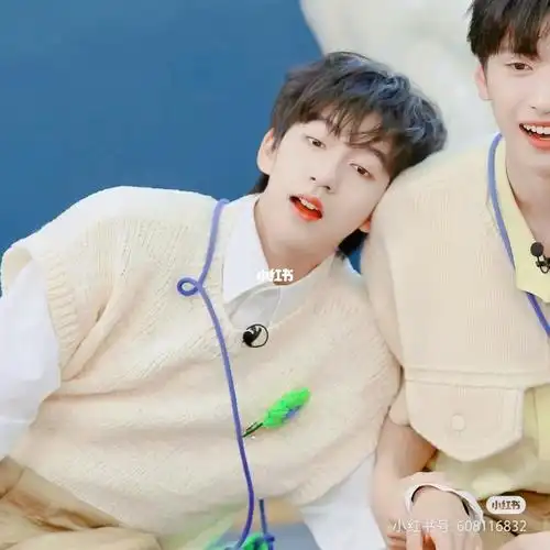 情头  #优质情头  #贺峻霖  #严浩翔