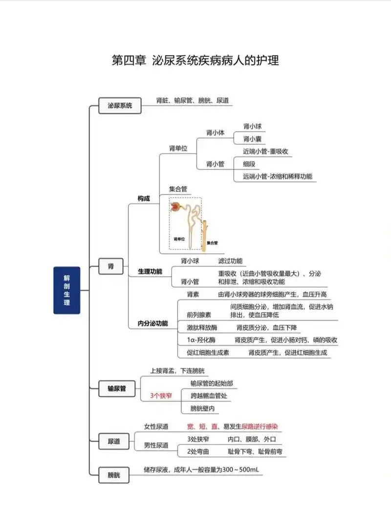 护理学思维导图 今天整理了泌尿系统疾病病人的护理的思维导图 需要的
