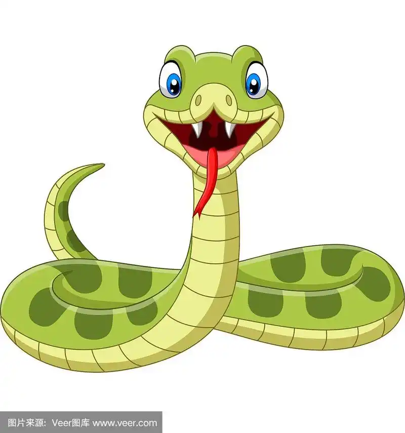 可爱的绿色蛇卡通在白色的背景