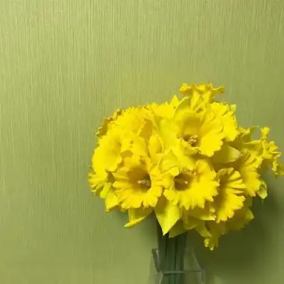 吉祥好运风景微信头像一念一尘缘つ