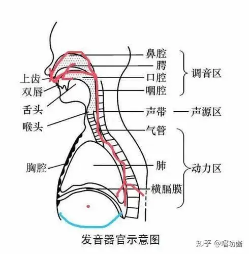 请问唱歌不会给气,气息不足可咋整呀?