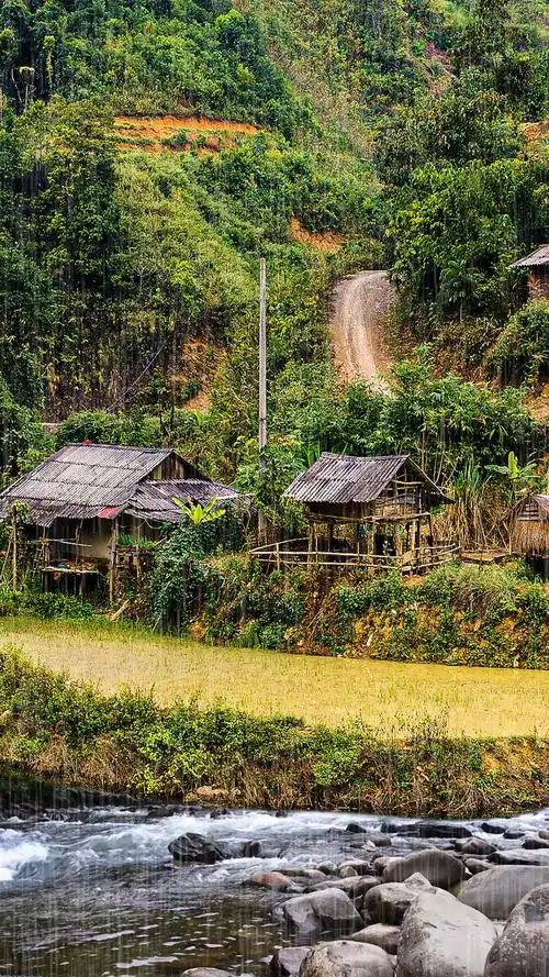 深山草屋为家,远离人世繁华,忙时修篱种花,闲时三五好友小酒清茶.