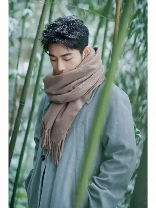 肖战冬日竹林大片