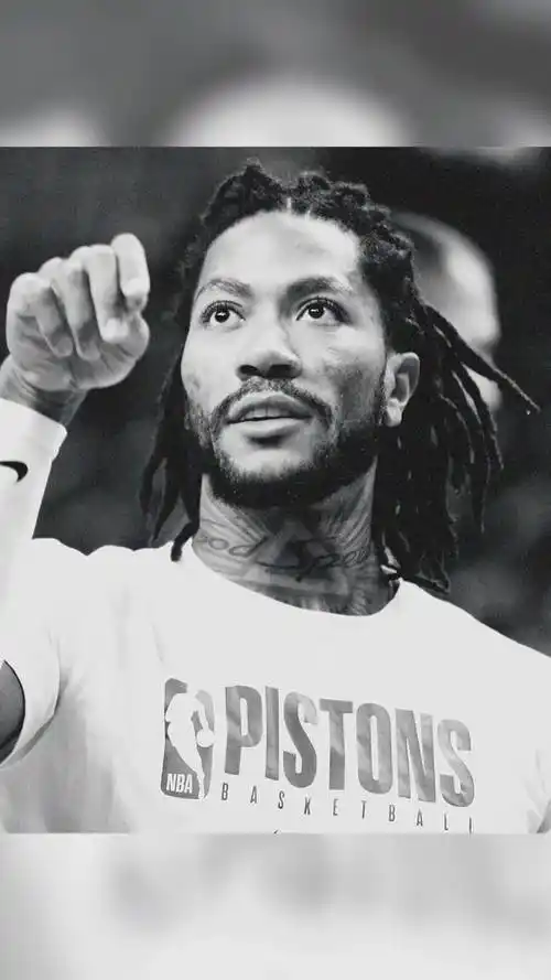 篮球精选壁纸德里克罗斯第6期