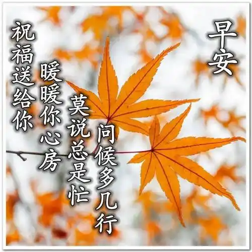 8张最新版漂亮清晨好图片带字温馨暖心的冬日早上好问候祝福图片带字