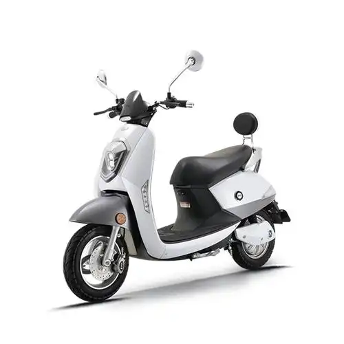 新日电动车 丽致电瓶车电动车成人代步车优雅女士成人代步车48v20ah