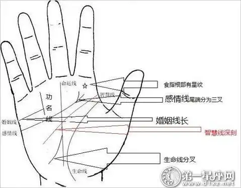 与豪门有关联:能迎娶豪门或嫁入豪门的手相