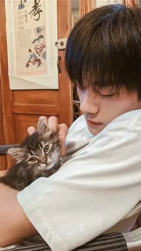 猫与少年 - 堆糖,美图壁纸兴趣社区