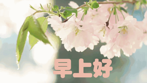 最新早安图片表情早安表情图片大全