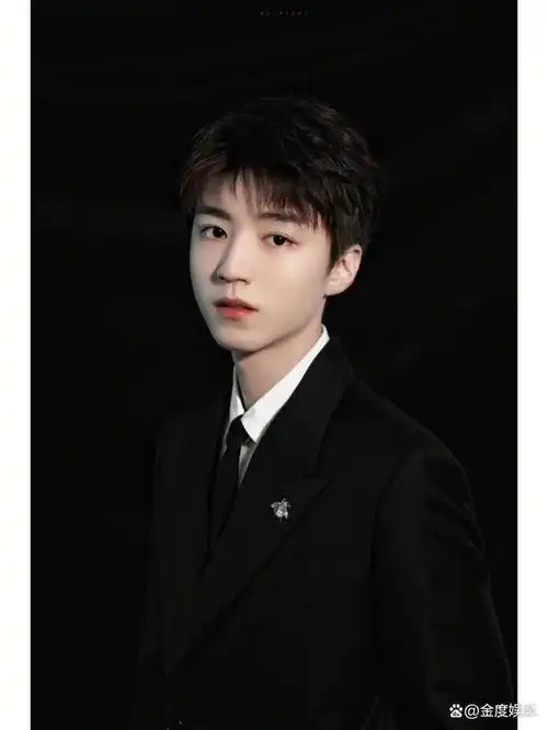 从照片中可以看出,王俊凯的白色衬衫是一款立领设计,领口处有一枚小小