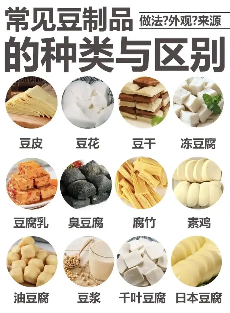 常见豆制品的种类与区别.#美食 #知识分享 #科普 #豆腐 - 抖音